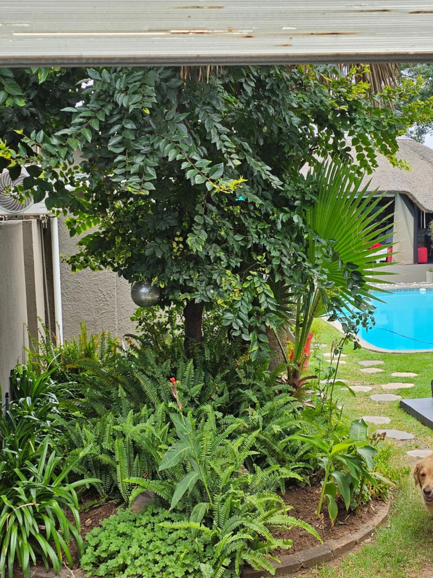 The Armagh Guesthouse Boksburg Dış mekan fotoğraf
